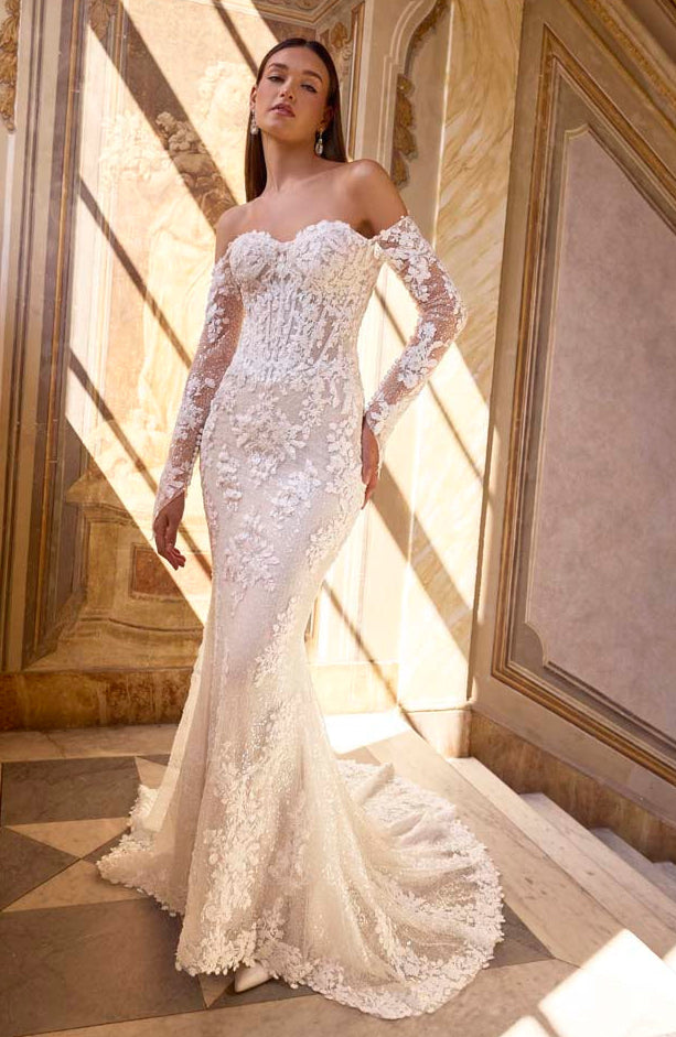 Aahana Wedding Dress - 63220  Veni Infantino