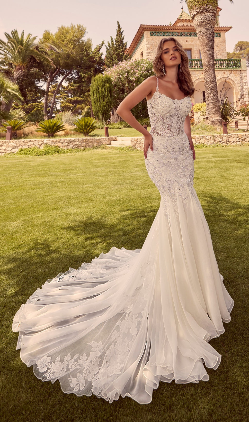 zoey lace mermaid dress